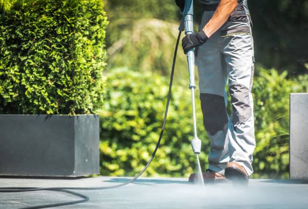 Best Gutter Cleaning  in Alma, AR