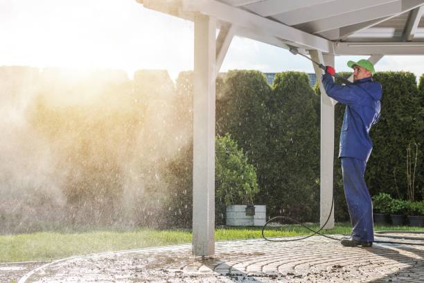 Best Spring Cleaning  in Alma, AR