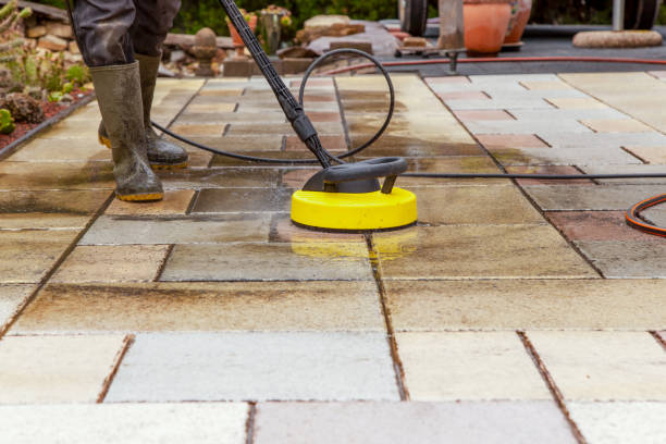 Best Pre-Holiday Cleaning  in Alma, AR
