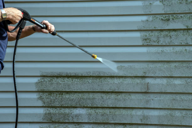 Best Patio and Deck Pressure Washing  in Alma, AR